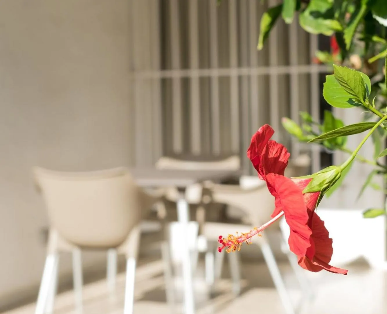 Aparthotel Makai Bungalows Playa Del Aguila